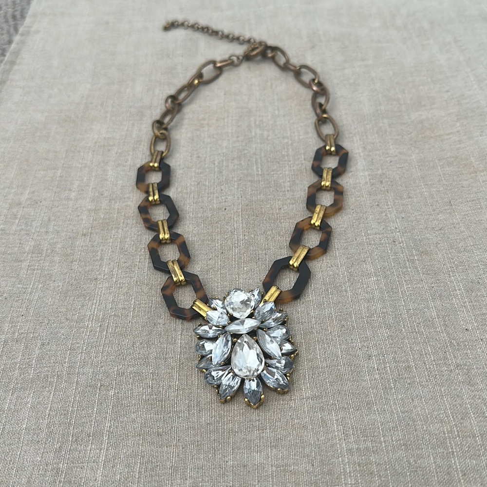 Statement necklace with tortoise shell chain